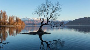 Wanaka