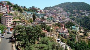 Shimla