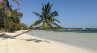 Green Turtle Cay