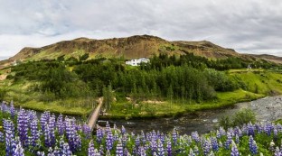 Iceland's Guesthouse Axelshus