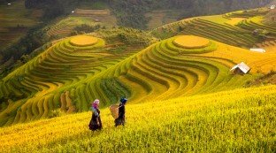 Northwest Vietnam