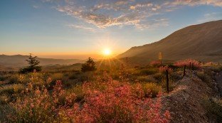 Mount Lebanon Region