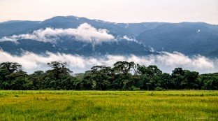 Central-Western Venezuela