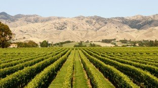 Marlborough Region