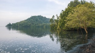 Milne Bay