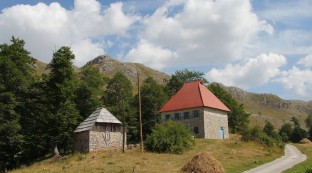 Savnik Region